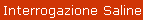 Interrogazione Saline