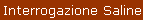 Interrogazione Saline